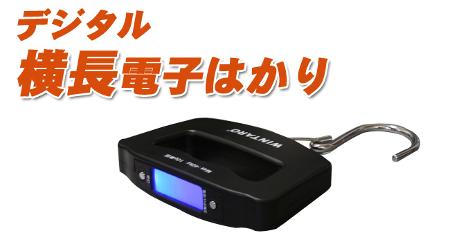 �d�q�͂���01