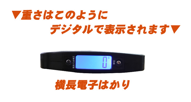 �d�q�͂���02