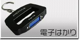 �d�q�͂���